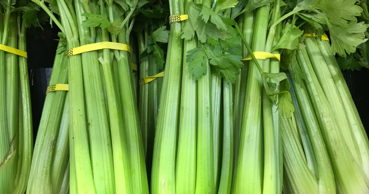 Sanaa Kelley of Reel Foley Sound talks all things foley