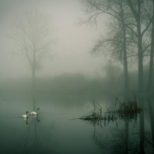 Tips for writing horror