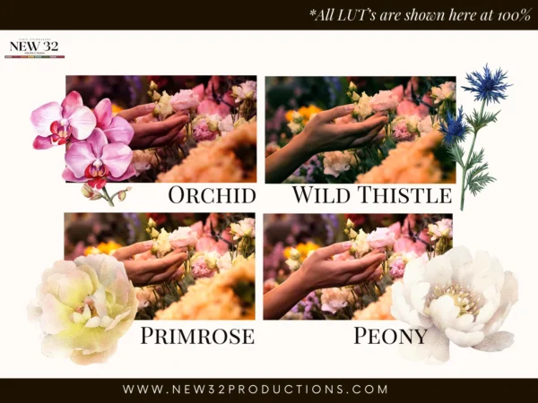Dark Floral LUT pack - Image 2